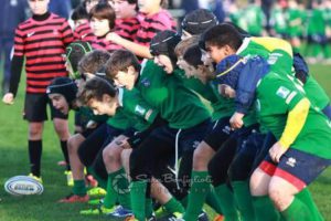 modena_rugby_minirugby-copia