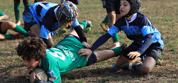 Modena Rugby minirugby