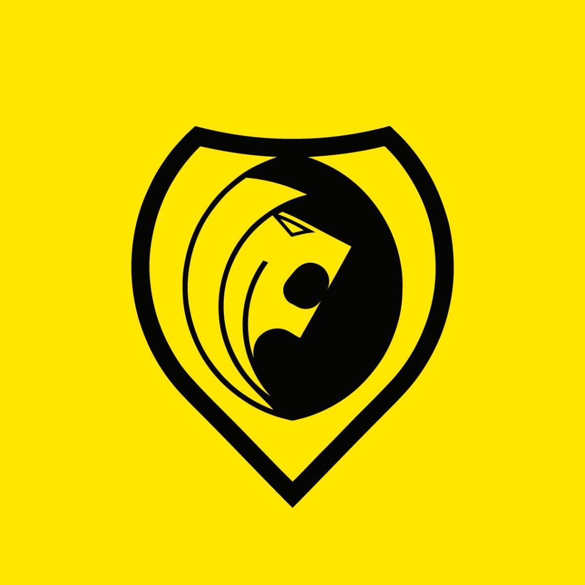 Stade Valdotain